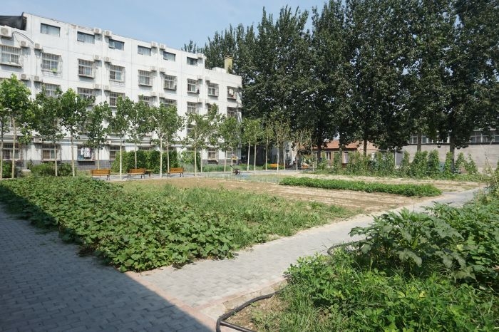 佰康2.jpg